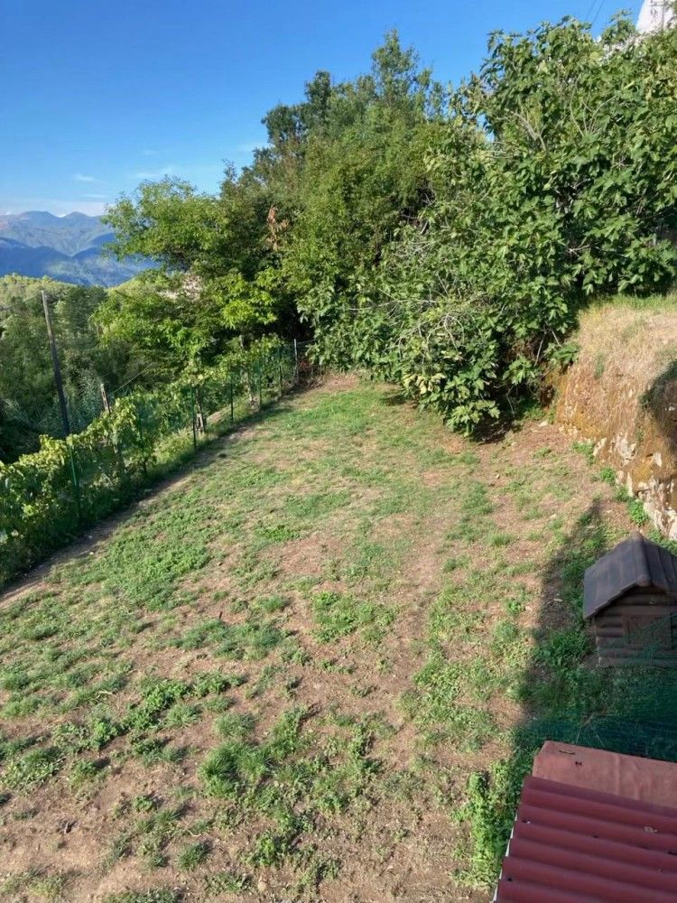 Vendesi Villino Indipendente con Terreno