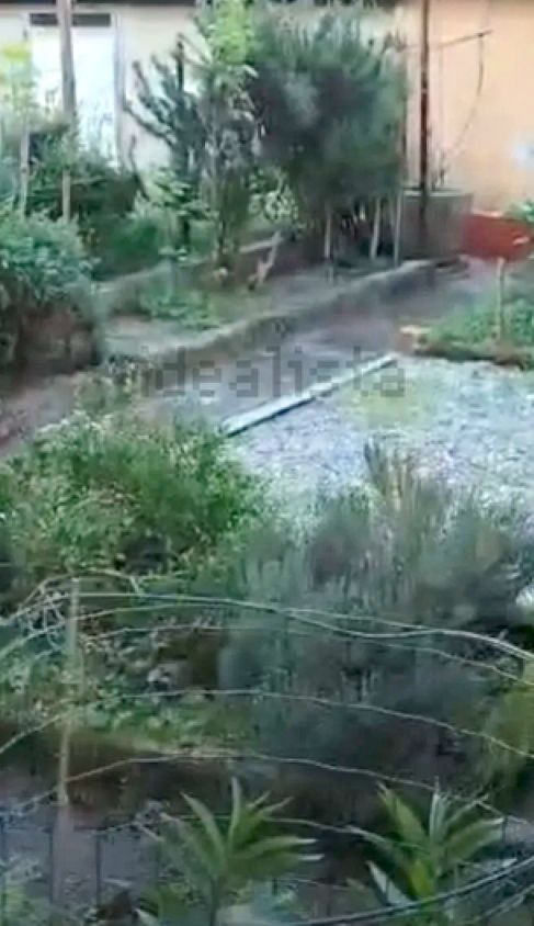 Migliarina, 2,5 vani con giardino