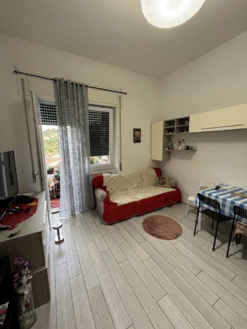 AMEGLIA 2,5 VANI